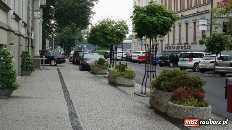 Zdjęcie w galerii na portalu naszraciborz.pl: W ratuszu policzyli kwiatki na ulicach [FOTO] wiadomości z regionu