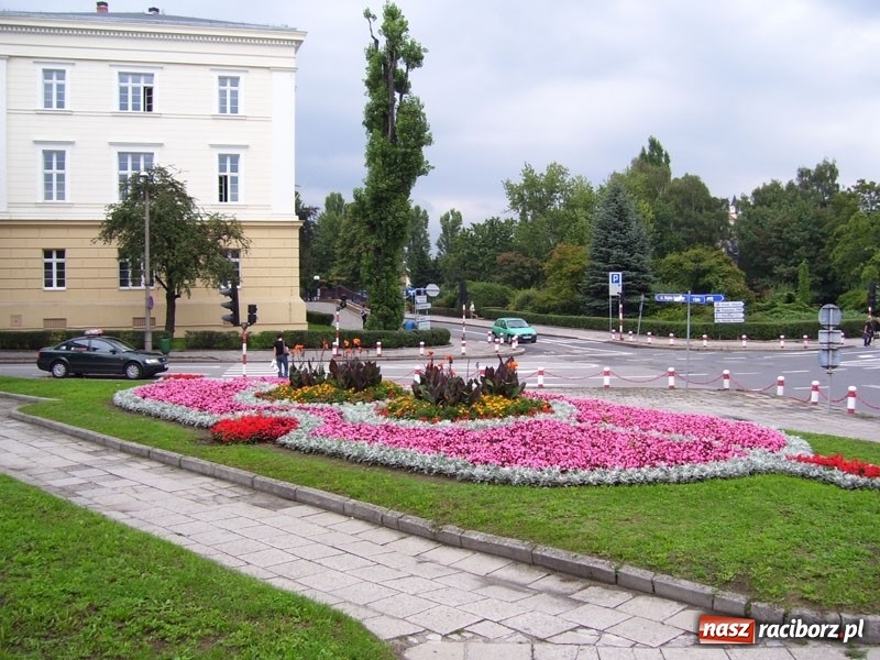 Zdjęcie w galerii na portalu naszraciborz.pl: W ratuszu policzyli kwiatki na ulicach [FOTO] wiadomości z regionu