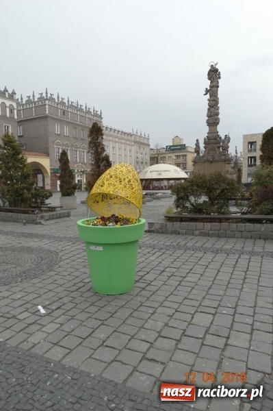 Zdjęcie w galerii na portalu naszraciborz.pl: W ratuszu policzyli kwiatki na ulicach [FOTO] wiadomości z regionu