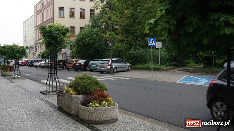 Zdjęcie w galerii na portalu naszraciborz.pl: W ratuszu policzyli kwiatki na ulicach [FOTO] wiadomości z regionu