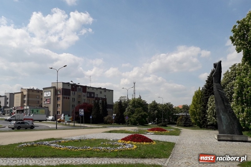 Zdjęcie w galerii na portalu naszraciborz.pl: W ratuszu policzyli kwiatki na ulicach [FOTO] wiadomości z regionu