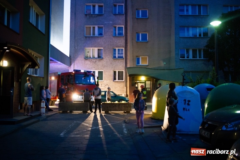 Zdjęcie w galerii na portalu naszraciborz.pl: Dym z mieszkania na Pomnikowej poderwał zastępy strażaków [FOTO] wiadomości z regionu