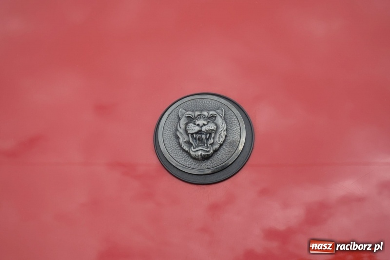 Zdjęcie w galerii na portalu naszraciborz.pl: Kochajcie oldtimery! Czar starych samochodów w Krzyżanowicach [FOTO]  wiadomości z regionu