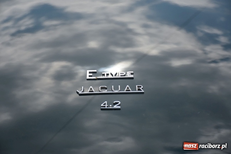 Zdjęcie w galerii na portalu naszraciborz.pl: Kochajcie oldtimery! Czar starych samochodów w Krzyżanowicach [FOTO]  wiadomości z regionu