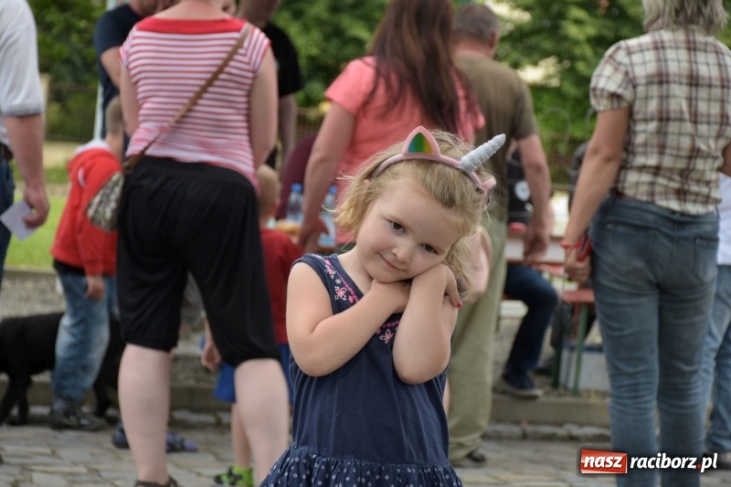 Zdjęcie w galerii na portalu naszraciborz.pl: Kochajcie oldtimery! Czar starych samochodów w Krzyżanowicach [FOTO]  wiadomości z regionu