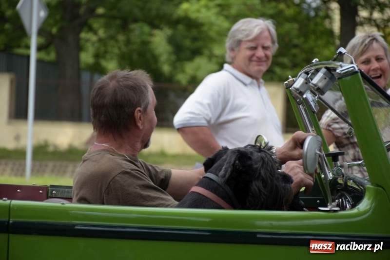 Zdjęcie w galerii na portalu naszraciborz.pl: Kochajcie oldtimery! Czar starych samochodów w Krzyżanowicach [FOTO]  wiadomości z regionu