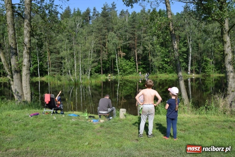 Zdjęcie w galerii na portalu naszraciborz.pl: Na Dzień Dziecka najlepsze jest... wędkowanie wiadomości z regionu