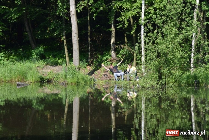 Zdjęcie w galerii na portalu naszraciborz.pl: Na Dzień Dziecka najlepsze jest... wędkowanie wiadomości z regionu