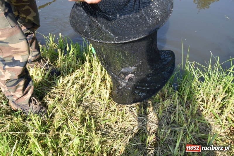 Zdjęcie w galerii na portalu naszraciborz.pl: Na Dzień Dziecka najlepsze jest... wędkowanie wiadomości z regionu