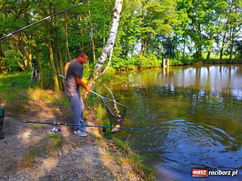Zdjęcie w galerii na portalu naszraciborz.pl: Na Dzień Dziecka najlepsze jest... wędkowanie wiadomości z regionu