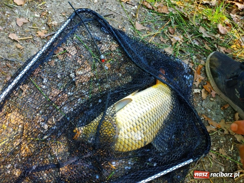 Zdjęcie w galerii na portalu naszraciborz.pl: Na Dzień Dziecka najlepsze jest... wędkowanie wiadomości z regionu