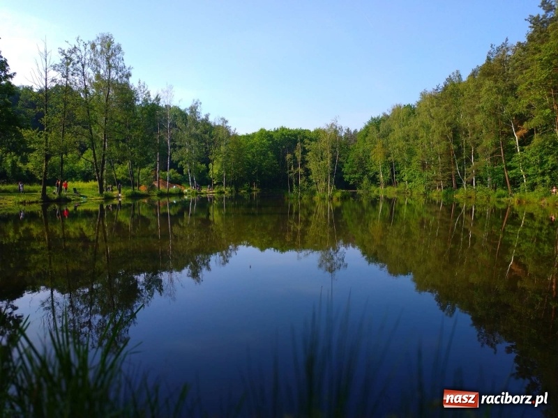 Zdjęcie w galerii na portalu naszraciborz.pl: Na Dzień Dziecka najlepsze jest... wędkowanie wiadomości z regionu