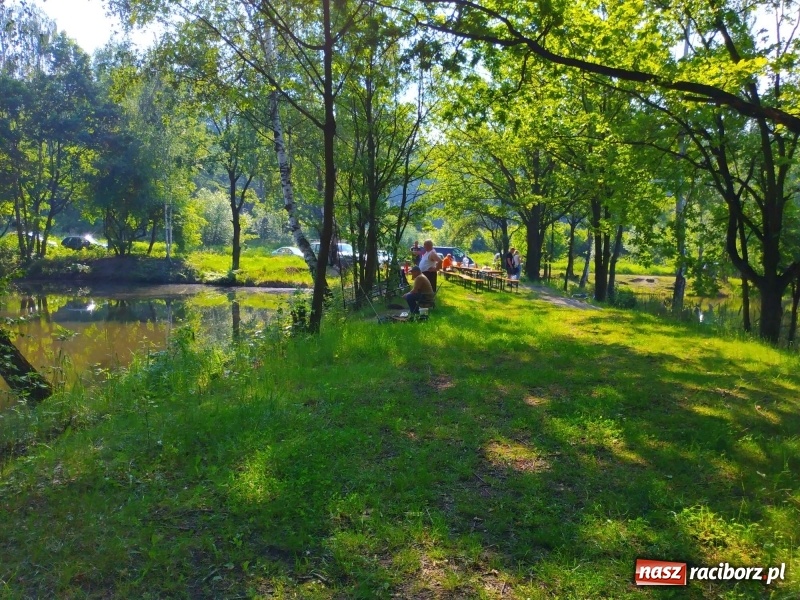 Zdjęcie w galerii na portalu naszraciborz.pl: Na Dzień Dziecka najlepsze jest... wędkowanie wiadomości z regionu