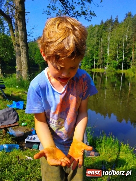 Zdjęcie w galerii na portalu naszraciborz.pl: Na Dzień Dziecka najlepsze jest... wędkowanie wiadomości z regionu