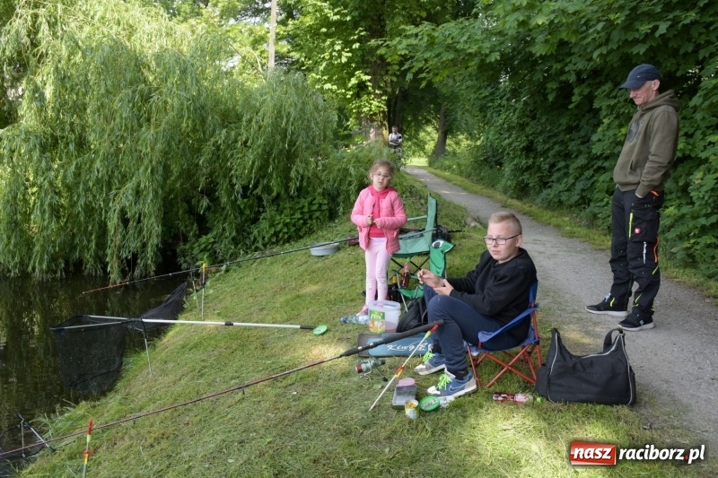 Zdjęcie w galerii na portalu naszraciborz.pl: Wędkarski Dzień Dziecka na Trzecioku  wiadomości z regionu
