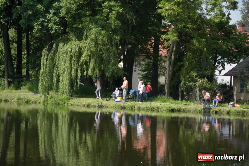 Zdjęcie w galerii na portalu naszraciborz.pl: Wędkarski Dzień Dziecka na Trzecioku  wiadomości z regionu