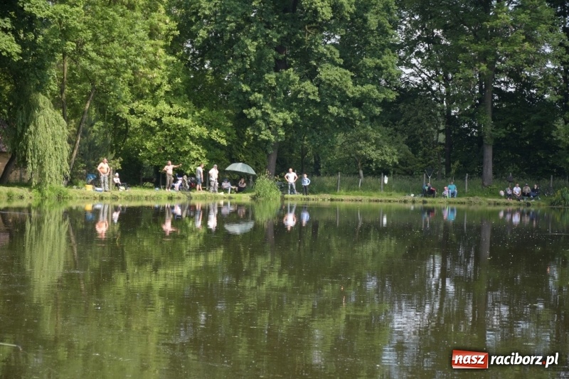 Zdjęcie w galerii na portalu naszraciborz.pl: Wędkarski Dzień Dziecka na Trzecioku  wiadomości z regionu