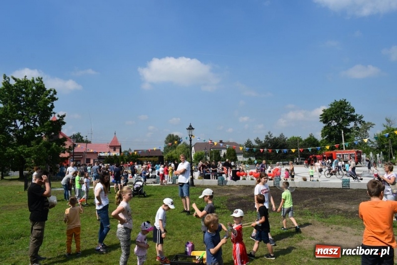 Zdjęcie w galerii na portalu naszraciborz.pl: Cudowne popołudnie w Kuźni Raciborskiej  wiadomości z regionu