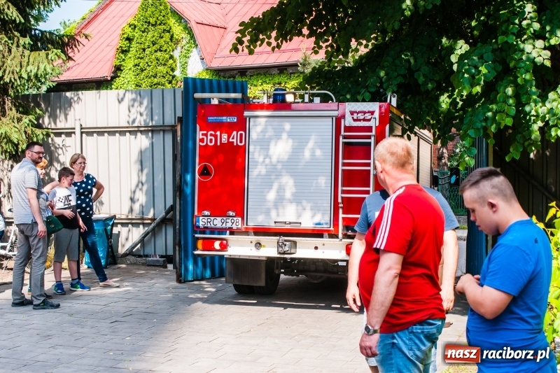 Zdjęcie w galerii na portalu naszraciborz.pl: Stowarzyszenie Spektrum świętowało Dzień Dziecka [FOTO] wiadomości z regionu