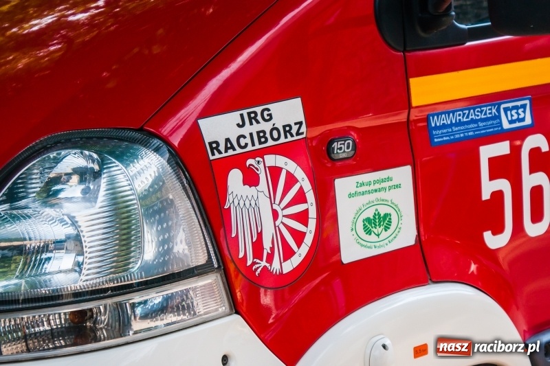 Zdjęcie w galerii na portalu naszraciborz.pl: Stowarzyszenie Spektrum świętowało Dzień Dziecka [FOTO] wiadomości z regionu