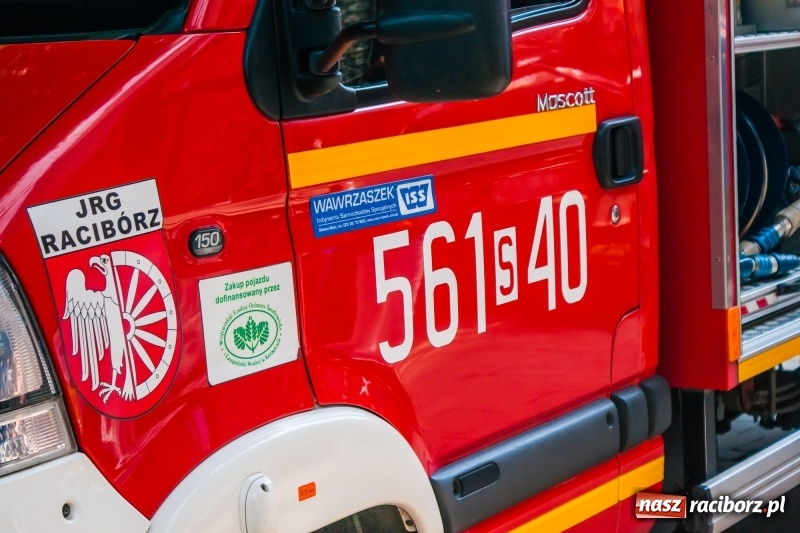 Zdjęcie w galerii na portalu naszraciborz.pl: Stowarzyszenie Spektrum świętowało Dzień Dziecka [FOTO] wiadomości z regionu