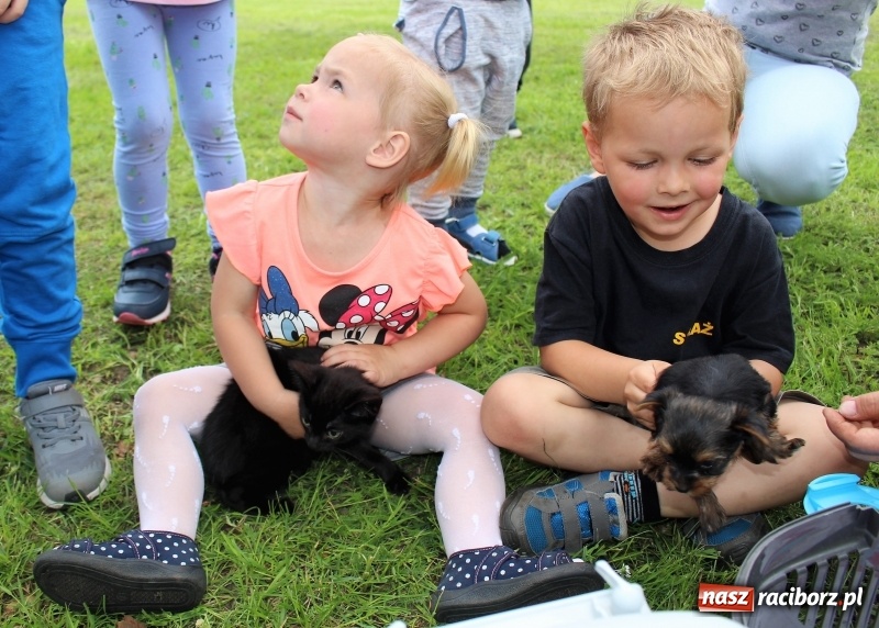 Zdjęcie w galerii na portalu naszraciborz.pl: Moc atrakcji na Dzień Dziecka w Nędzy wiadomości z regionu