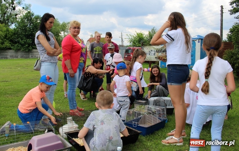 Zdjęcie w galerii na portalu naszraciborz.pl: Moc atrakcji na Dzień Dziecka w Nędzy wiadomości z regionu