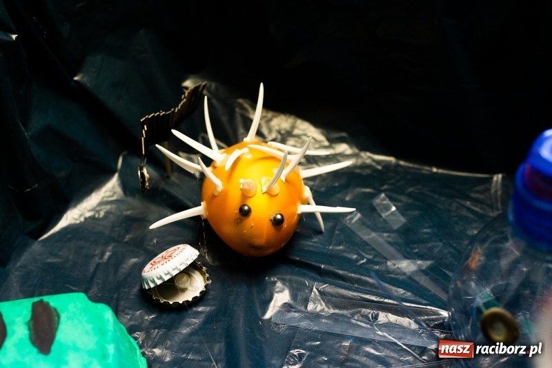 Zdjęcie w galerii na portalu naszraciborz.pl: Rozstrzygnięto konkurs MiliMali o tematyce ekologicznej. Prace robią wrażenie  wiadomości z regionu