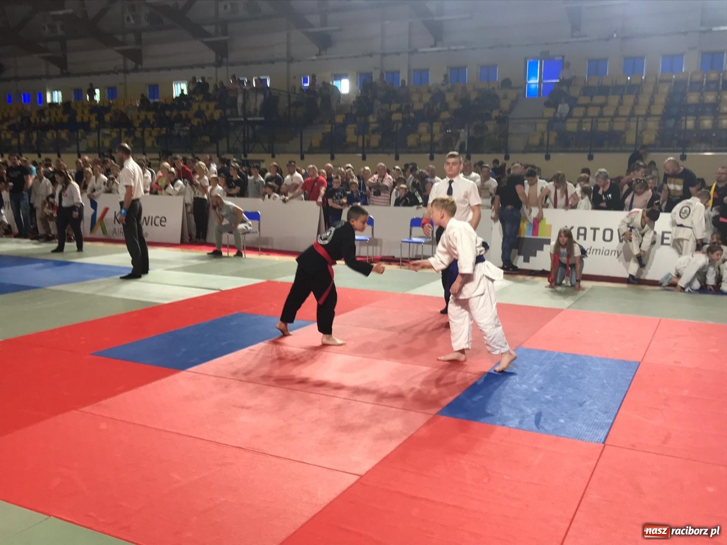 Zdjęcie w galerii na portalu naszraciborz.pl: Łamatorzy na II Silesian Open w Katowicach wiadomości z regionu