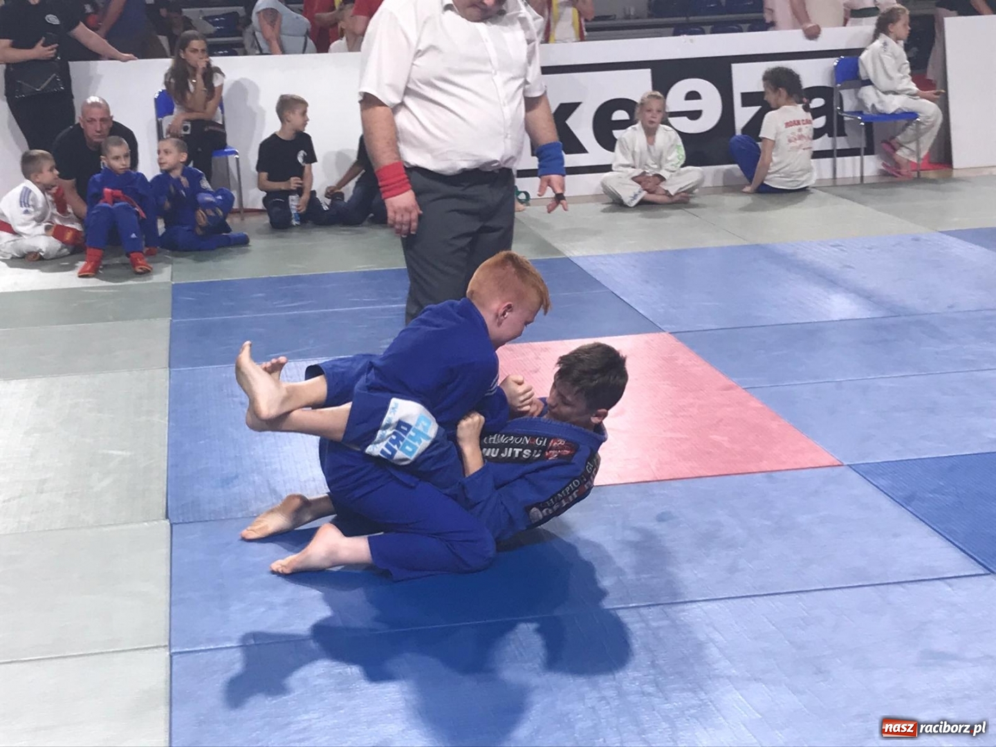 Zdjęcie w galerii na portalu naszraciborz.pl: Łamatorzy na II Silesian Open w Katowicach wiadomości z regionu