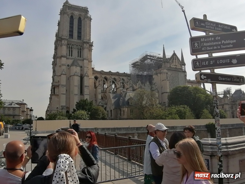 Zdjęcie w galerii na portalu naszraciborz.pl: Uczniowie ZSO nr 1 odkrywali dwie europejskie stolice wiadomości z regionu
