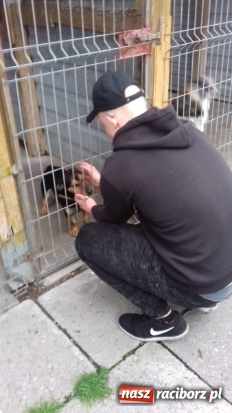 Zdjęcie w galerii na portalu naszraciborz.pl: W ośrodku dla niesłyszących pamiętają o czworonogach  wiadomości z regionu