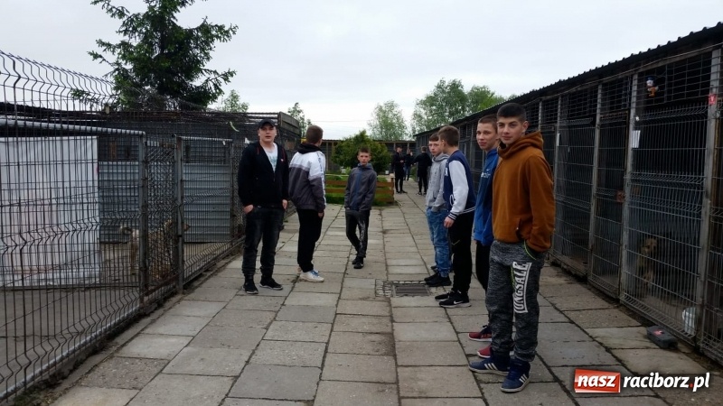 Zdjęcie w galerii na portalu naszraciborz.pl: W ośrodku dla niesłyszących pamiętają o czworonogach  wiadomości z regionu