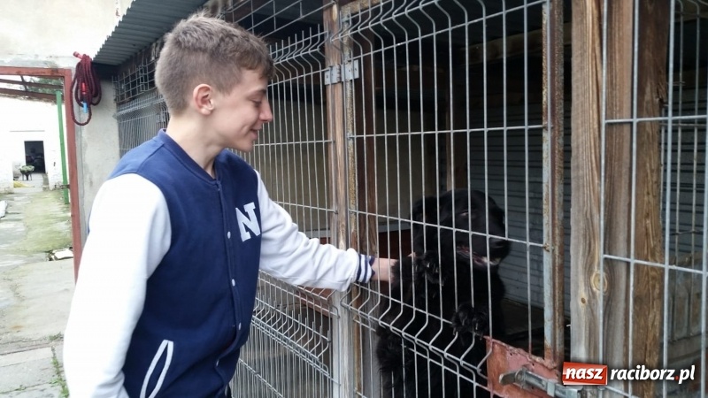 Zdjęcie w galerii na portalu naszraciborz.pl: W ośrodku dla niesłyszących pamiętają o czworonogach  wiadomości z regionu