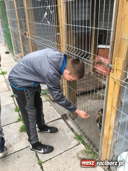 Zdjęcie w galerii na portalu naszraciborz.pl: W ośrodku dla niesłyszących pamiętają o czworonogach  wiadomości z regionu