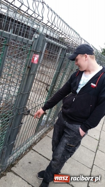 Zdjęcie w galerii na portalu naszraciborz.pl: W ośrodku dla niesłyszących pamiętają o czworonogach  wiadomości z regionu