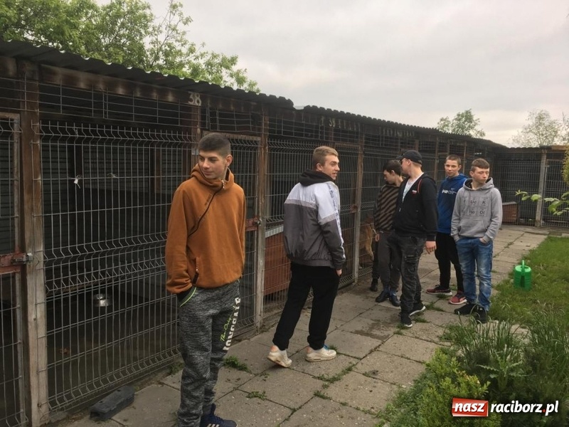 Zdjęcie w galerii na portalu naszraciborz.pl: W ośrodku dla niesłyszących pamiętają o czworonogach  wiadomości z regionu