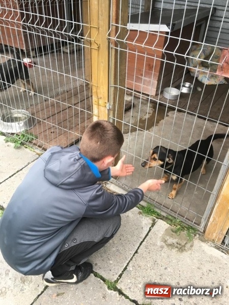 Zdjęcie w galerii na portalu naszraciborz.pl: W ośrodku dla niesłyszących pamiętają o czworonogach  wiadomości z regionu
