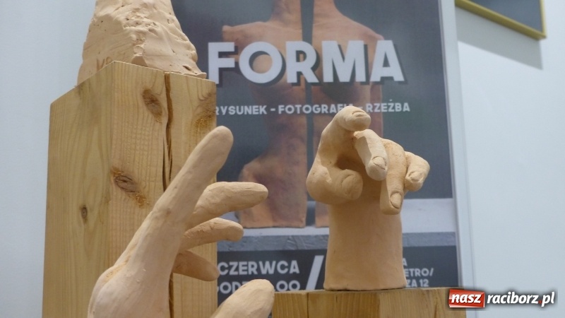 Zdjęcie w galerii na portalu naszraciborz.pl: Wystawa prac uczniów Liceum Plastycznego w raciborskiej bibliotece wiadomości z regionu