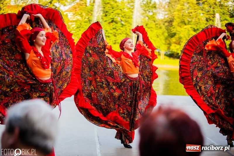 Zdjęcie w galerii na portalu naszraciborz.pl: II Raciborska Noc Świętojańska w Parku im. Miasta Roth wiadomości z regionu