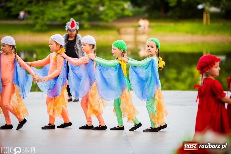 Zdjęcie w galerii na portalu naszraciborz.pl: II Raciborska Noc Świętojańska w Parku im. Miasta Roth wiadomości z regionu