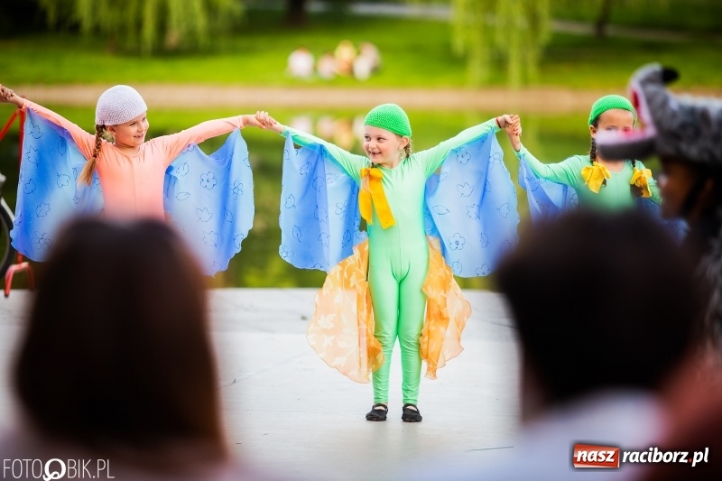 Zdjęcie w galerii na portalu naszraciborz.pl: II Raciborska Noc Świętojańska w Parku im. Miasta Roth wiadomości z regionu