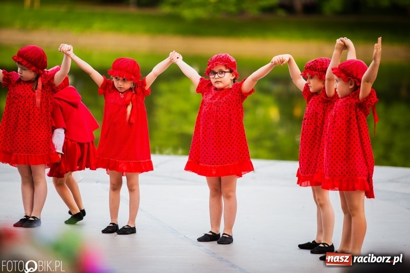 Zdjęcie w galerii na portalu naszraciborz.pl: II Raciborska Noc Świętojańska w Parku im. Miasta Roth wiadomości z regionu