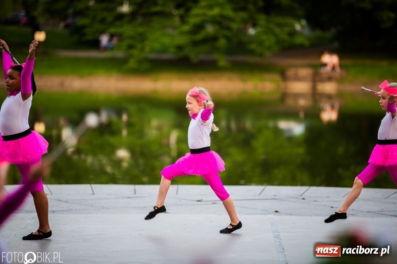 Zdjęcie w galerii na portalu naszraciborz.pl: II Raciborska Noc Świętojańska w Parku im. Miasta Roth wiadomości z regionu