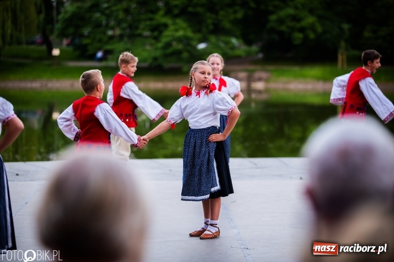 Zdjęcie w galerii na portalu naszraciborz.pl: II Raciborska Noc Świętojańska w Parku im. Miasta Roth wiadomości z regionu