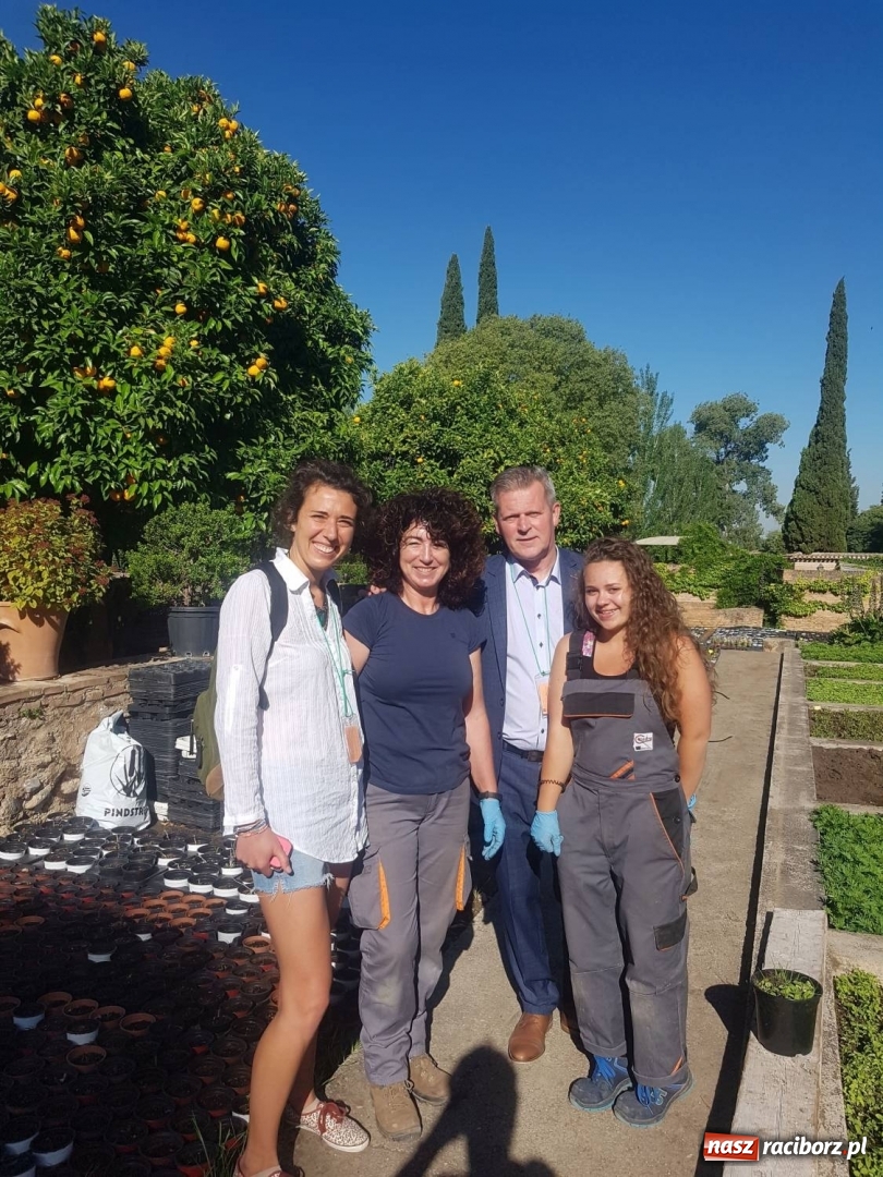 Zdjęcie w galerii na portalu naszraciborz.pl: Wysmagani słońcem wrócili z zagranicznych praktyk wiadomości z regionu