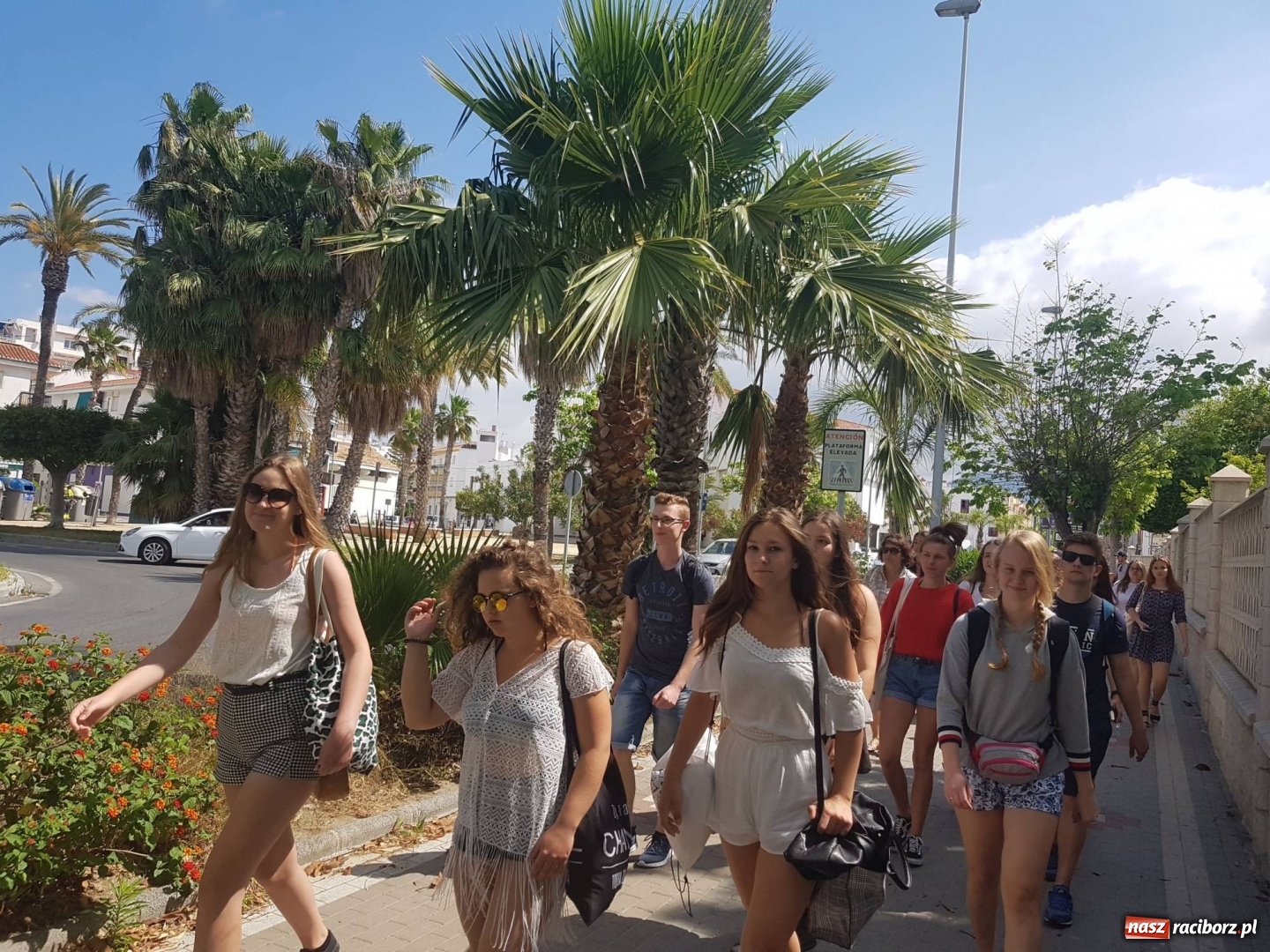 Zdjęcie w galerii na portalu naszraciborz.pl: Wysmagani słońcem wrócili z zagranicznych praktyk wiadomości z regionu