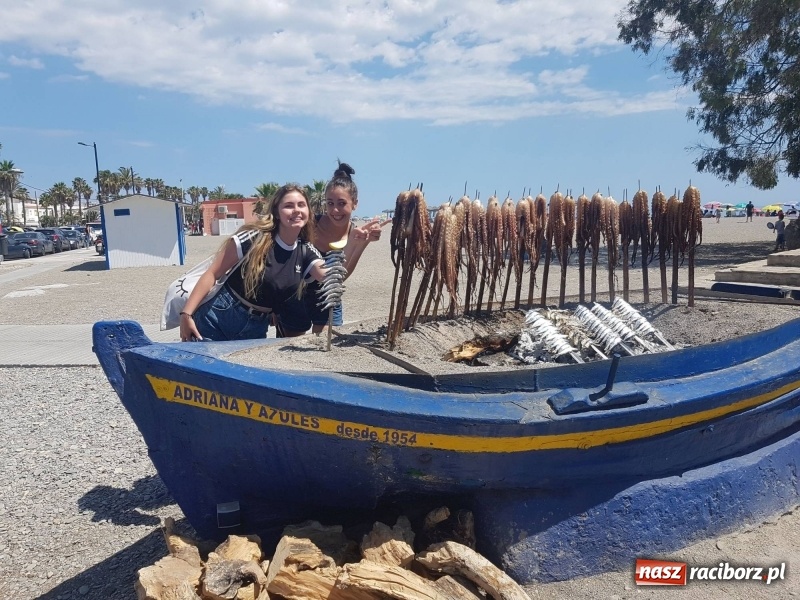 Zdjęcie w galerii na portalu naszraciborz.pl: Wysmagani słońcem wrócili z zagranicznych praktyk wiadomości z regionu