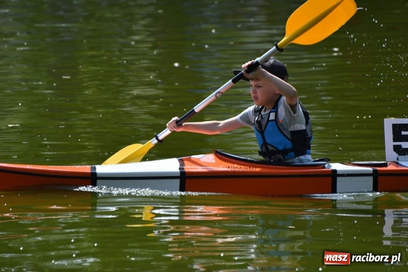 Zdjęcie w galerii na portalu naszraciborz.pl: Zmagania wodniackie na stawie gondolowym  wiadomości z regionu
