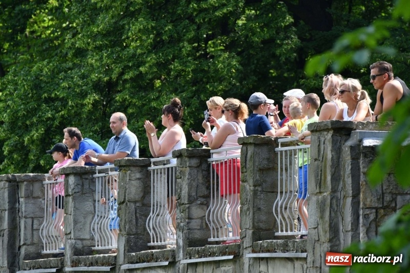 Zdjęcie w galerii na portalu naszraciborz.pl: Zmagania wodniackie na stawie gondolowym  wiadomości z regionu